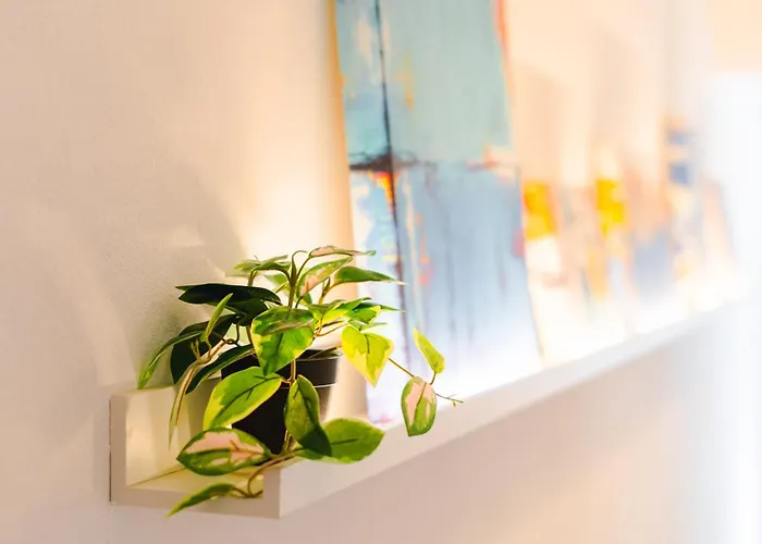 San Niccolo Elegance - Design *